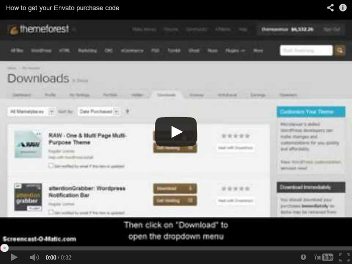 Get Envato Purchase Code